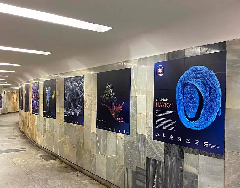 Выставка научной фотографии работает в&nbsp;новосибирском метро