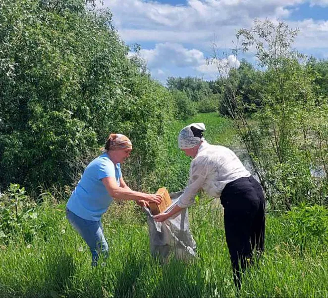 В&nbsp;Абатском районе Тюменской области очистили берега водоемов