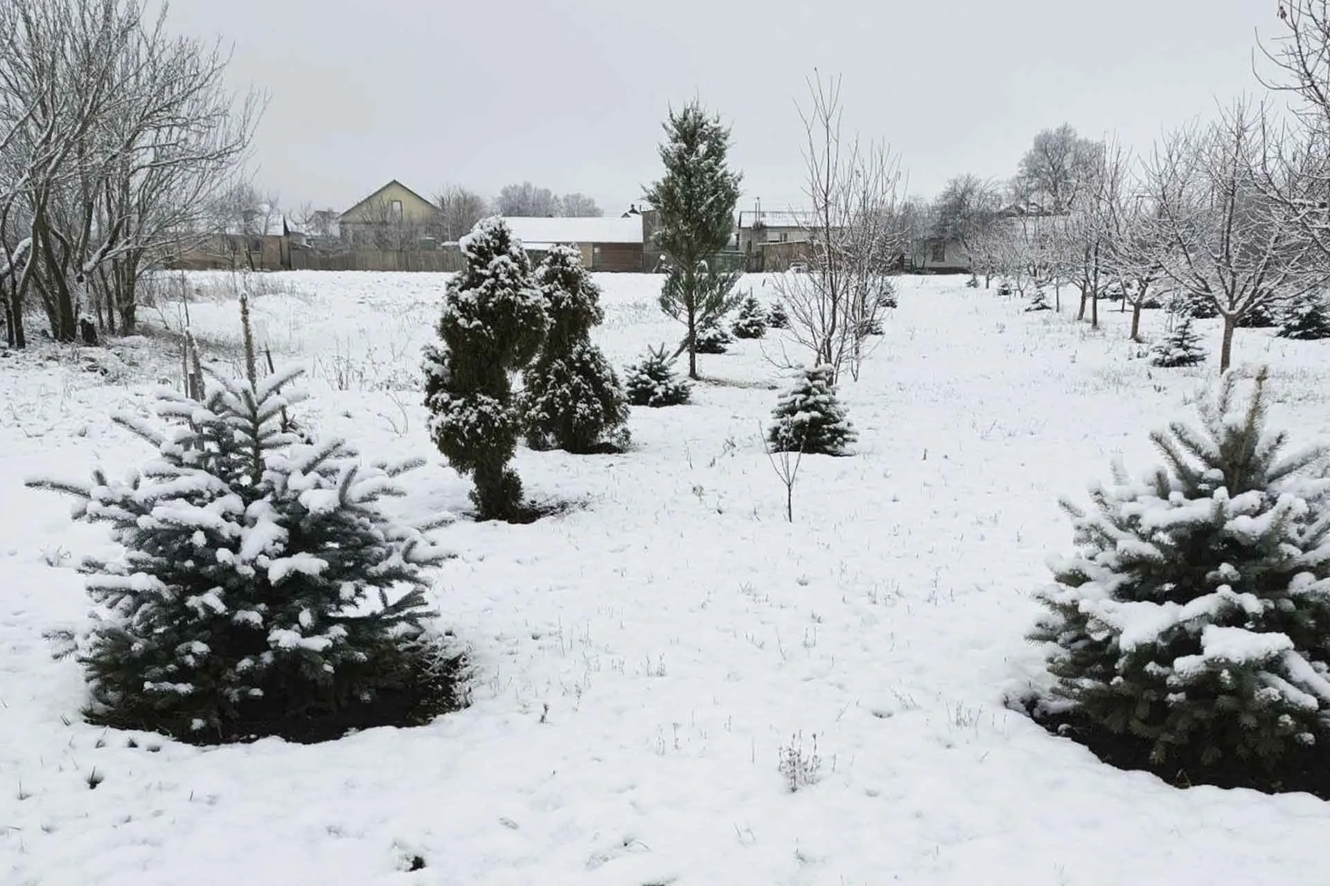 Администрация Красногвардейского района Белгородская область