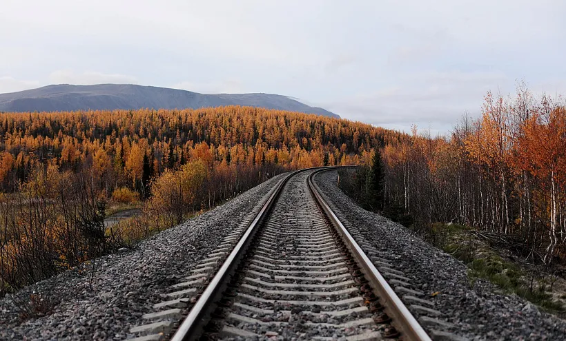 Около тысячи пользователей установили приложение &laquo;Заповедная Коми&raquo;