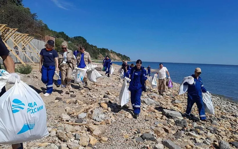 Дончане очистили от&nbsp;мусора более 300&nbsp;километров берегов водоемов
