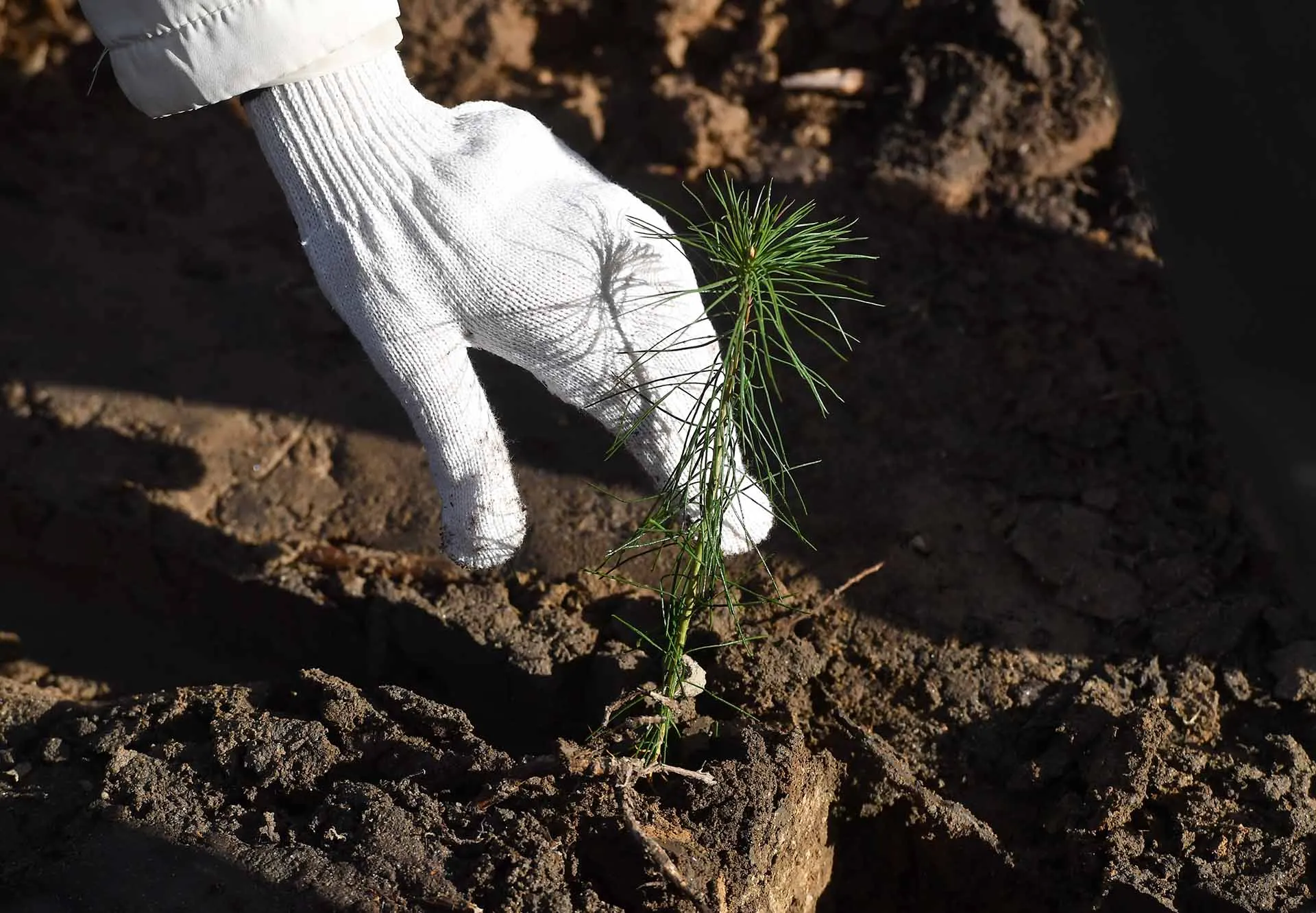  Михаил Воскресенский/РИА Новости