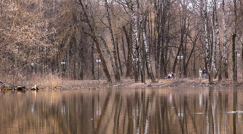 В&nbsp;Клину проведут озеленение на&nbsp;берегу реки Сестры