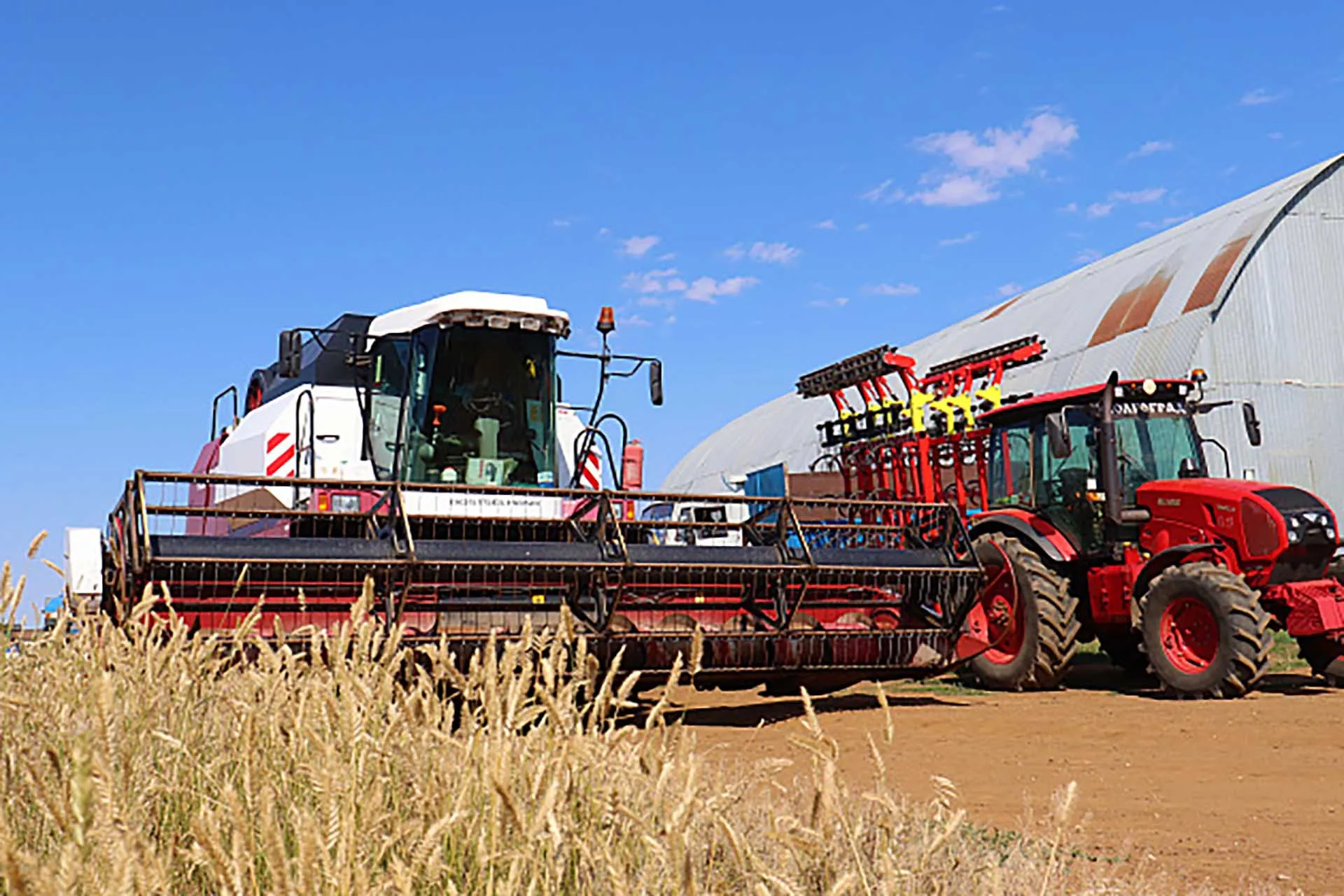 ГАУ ВО "Мой бизнес"