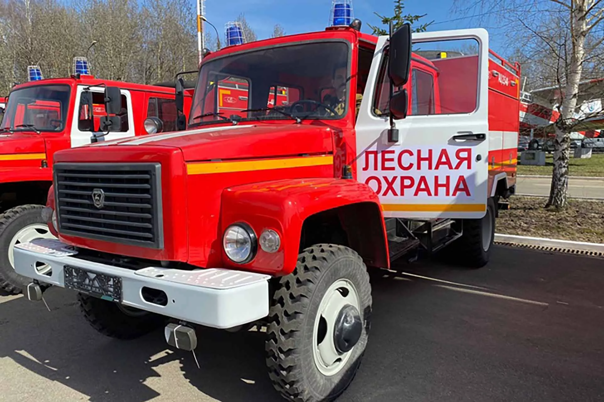 Министерство лесного хозяйства Владимирской области