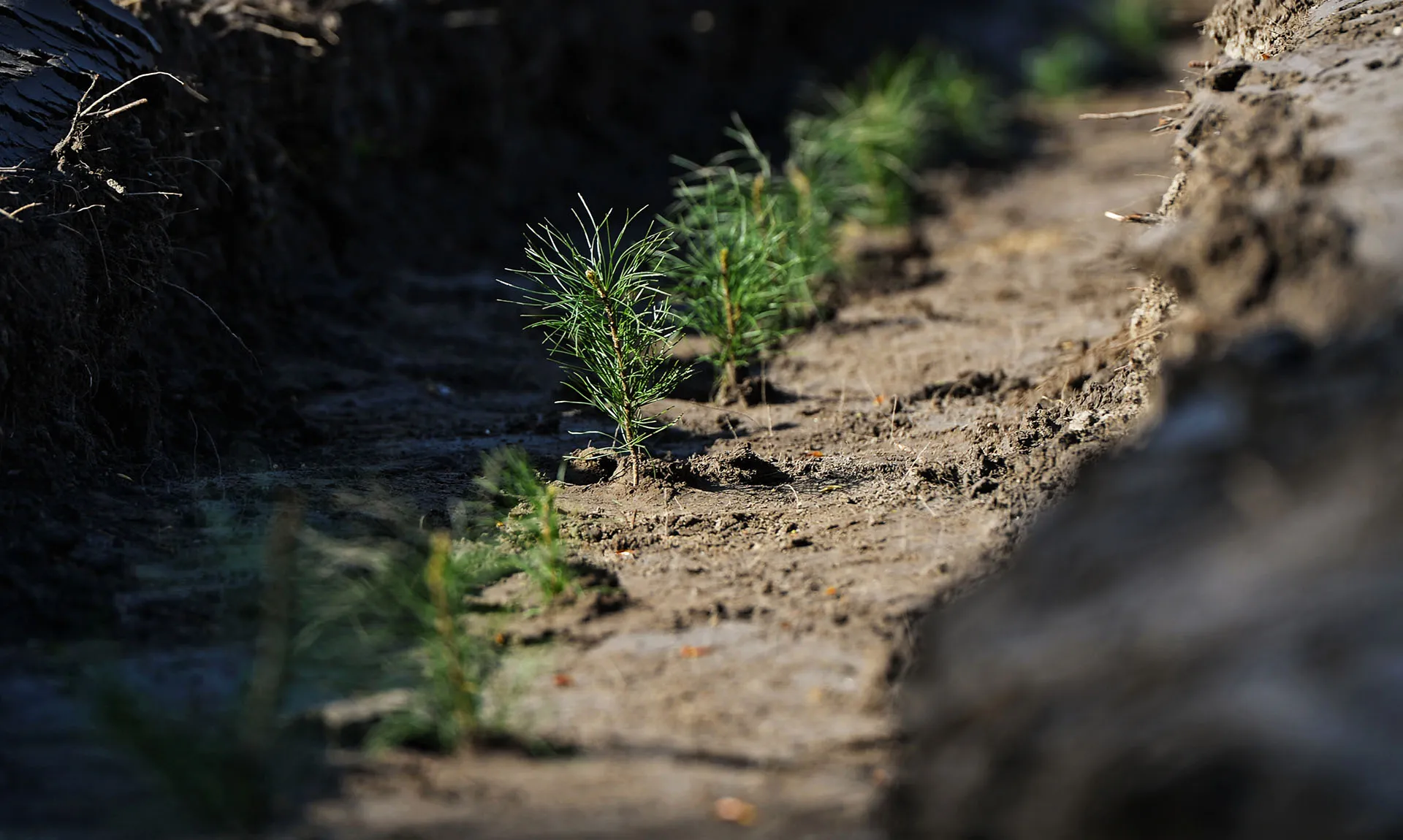 Александр Кряжев/РИА Новости