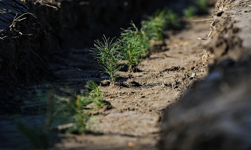 В&nbsp;Югорске завершили еще&nbsp;один этап благоустройства парка имени Менделеева