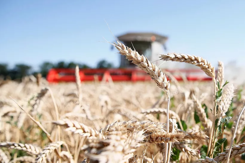 Кубанская компания по&nbsp;торговле сельхозпродукцией повысит свою эффективность