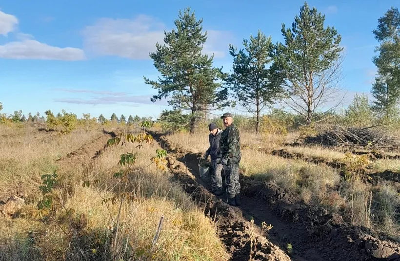 Осенью в&nbsp;Алтайском крае высадят более 820&nbsp;тысяч молодых деревьев