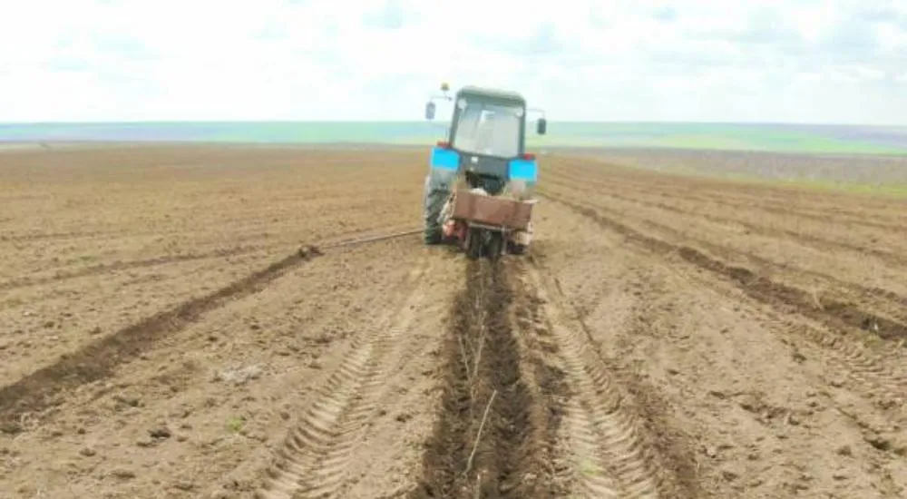 Правительство Ставропольского края