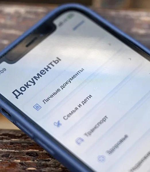 В&nbsp;этом году запущены 70&nbsp;федеральных и&nbsp;425&nbsp;региональных жизненных ситуаций