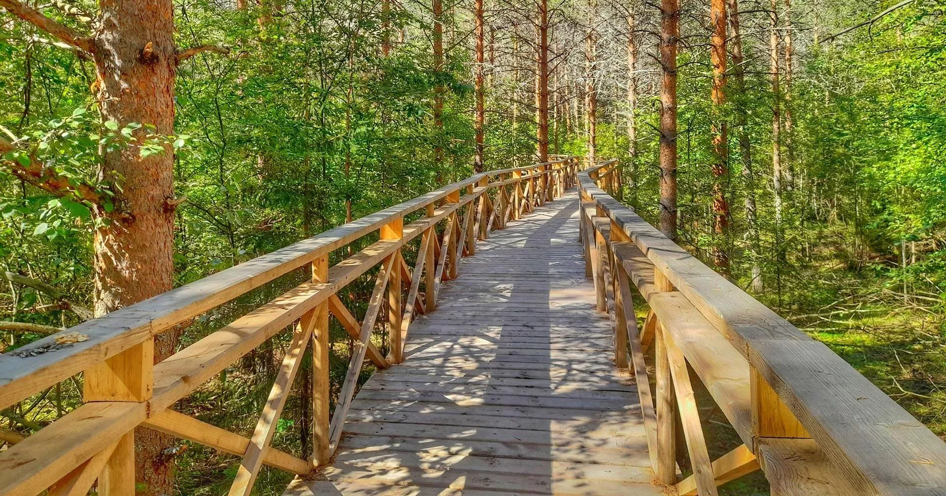 Агентство по туризму Удмуртской Республики