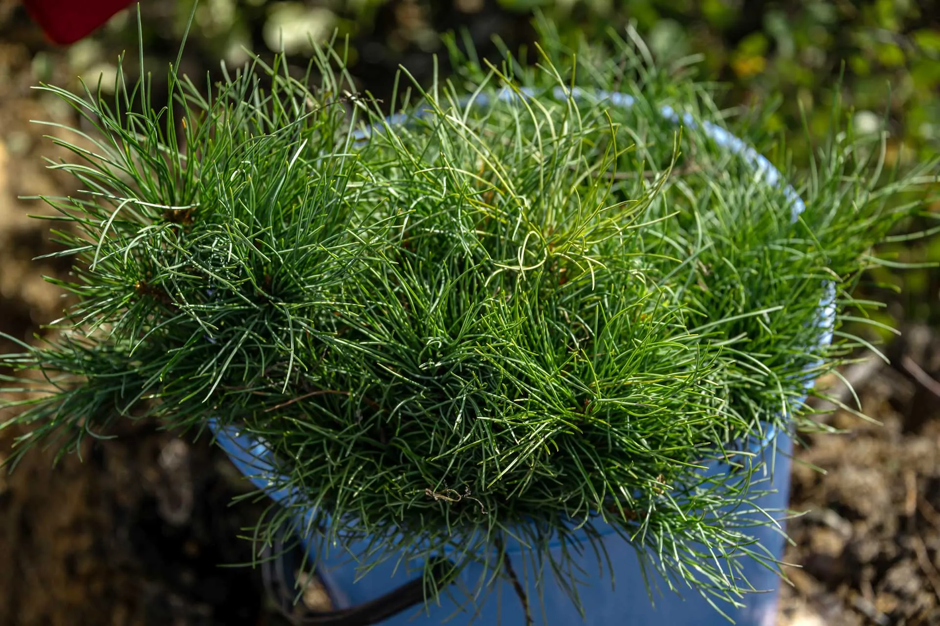 Павел Усаченко/РИА Новости