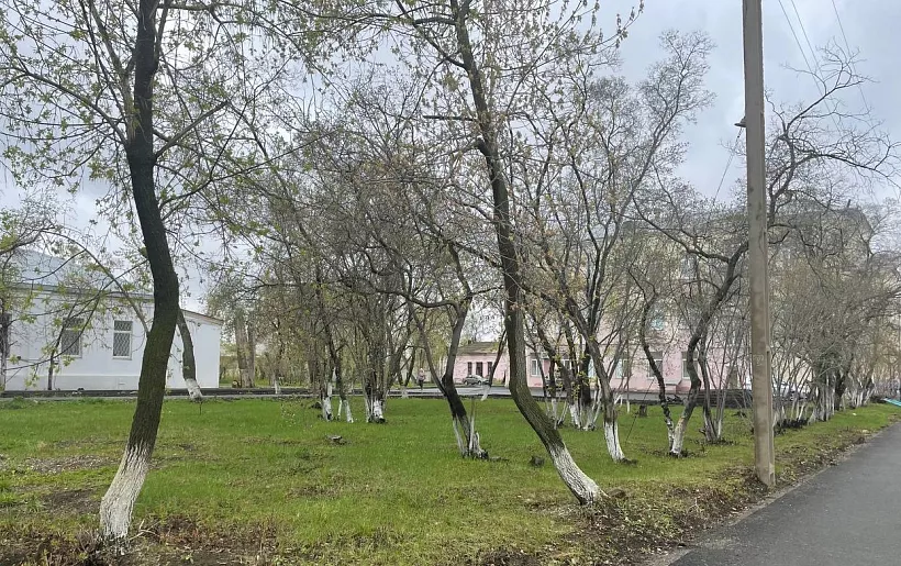 В&nbsp;Челябинской области обновят территорию возле Южноуральской горбольницы