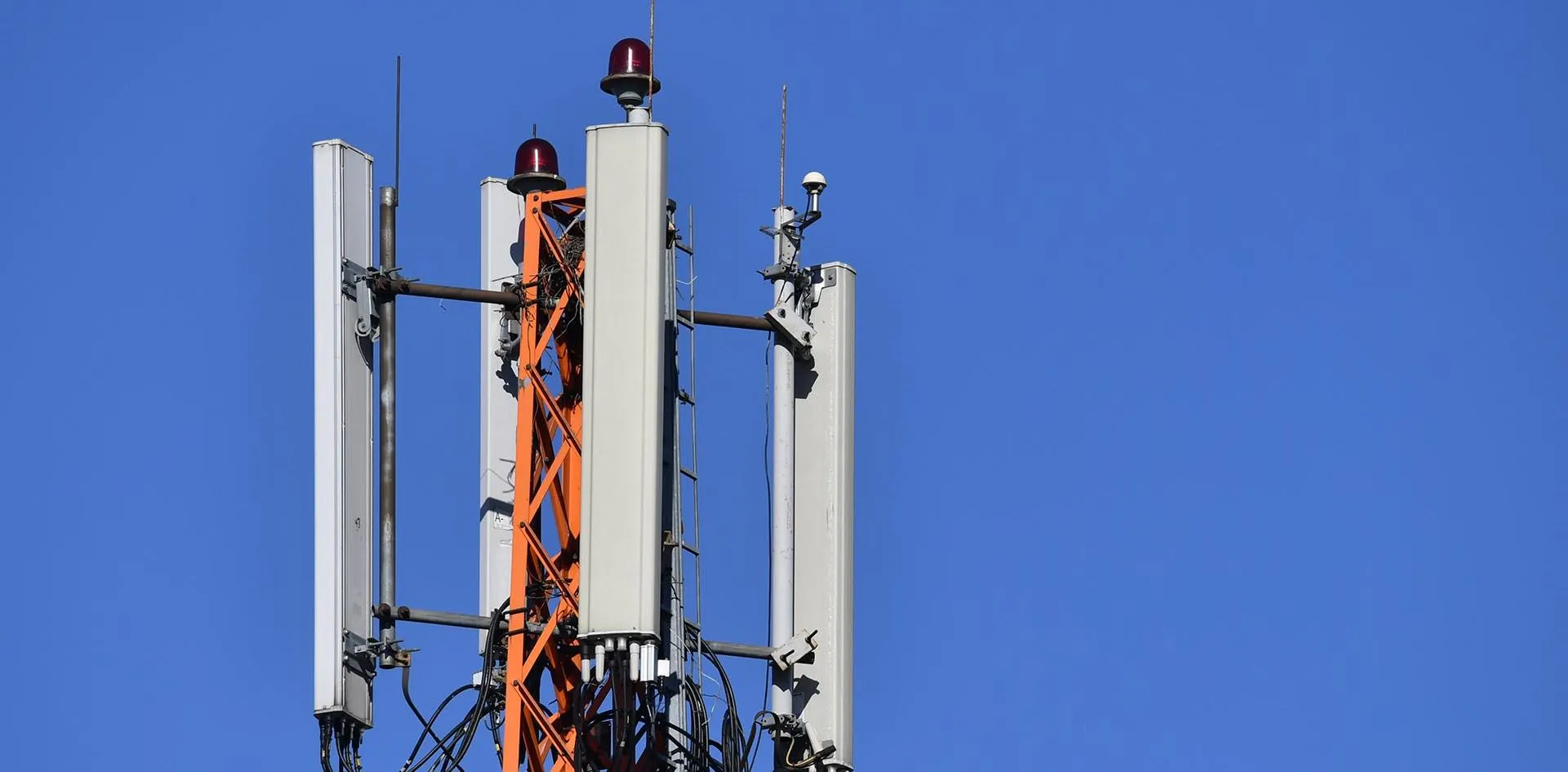 Михаил Воскресенский/РИА Новости