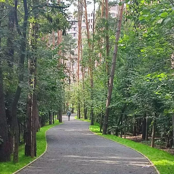 Министерство информационных и социальных коммуникаций Московской области
