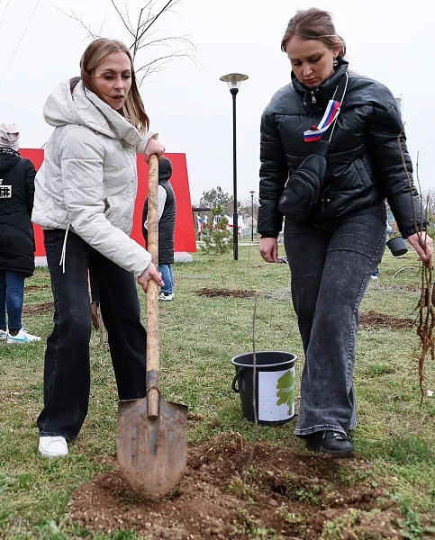 В&nbsp;Колыванском лесничестве Новосибирской области высадили 4,8&nbsp;тысячи кедров