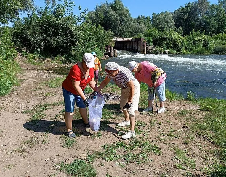 &laquo;Серебряные&raquo; волонтеры Самарской области поучаствовали в&nbsp;экоакции