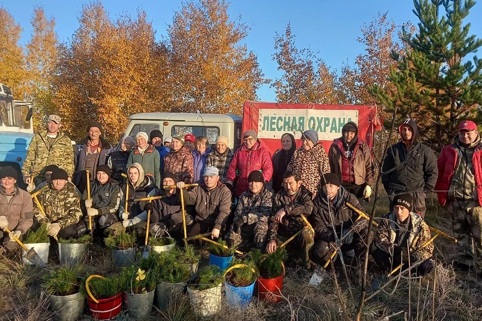 В&nbsp;Алтайском крае перевыполнили план по&nbsp;восстановлению лесов