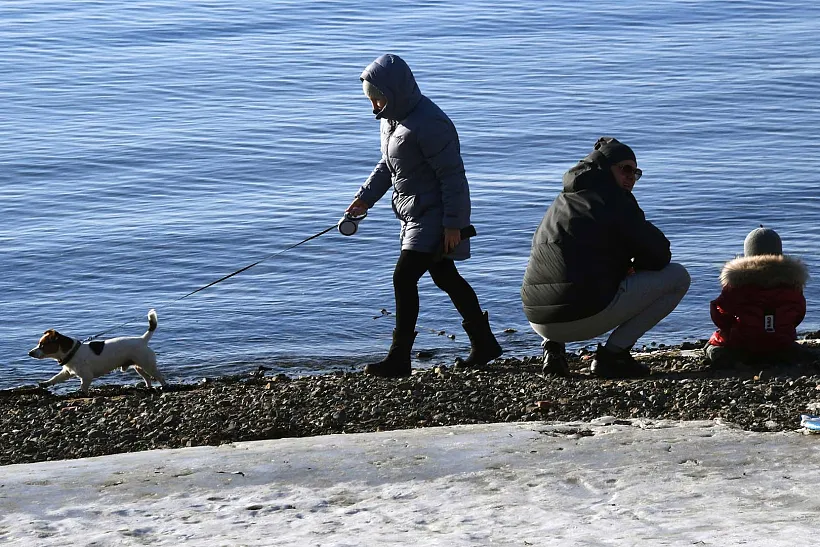 Во&nbsp;Владивостоке благоустроят две набережные