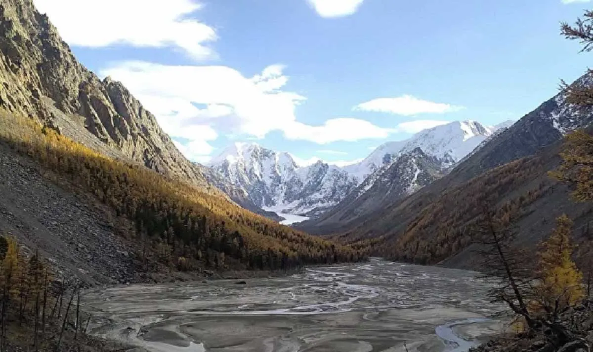 ФГБОУ ВО "Санкт-Петербургский государственный университет"