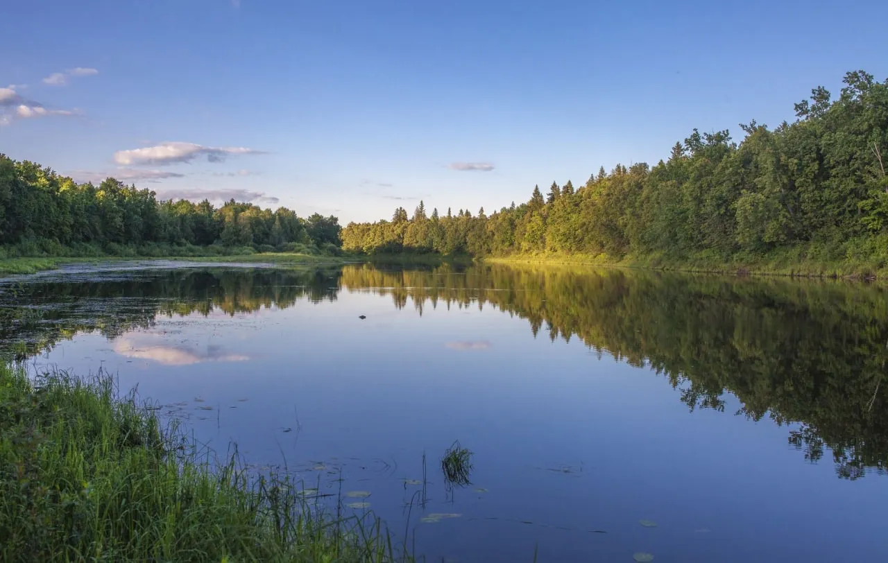  Управление массовых коммуникаций Кировской области