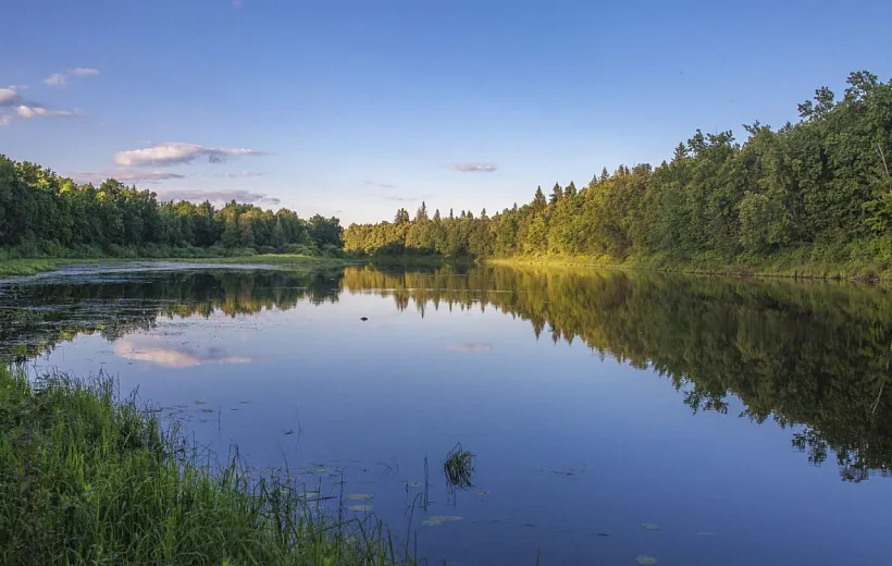 В&nbsp;заповеднике &laquo;Нургуш&raquo; Кировской области откроют эколабораторию