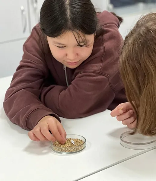 В&nbsp;сельских школах Иркутской области откроют 4&nbsp;агротехкласса