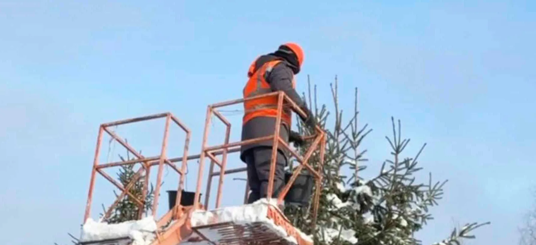 Департамент лесного комплекса Вологодской области