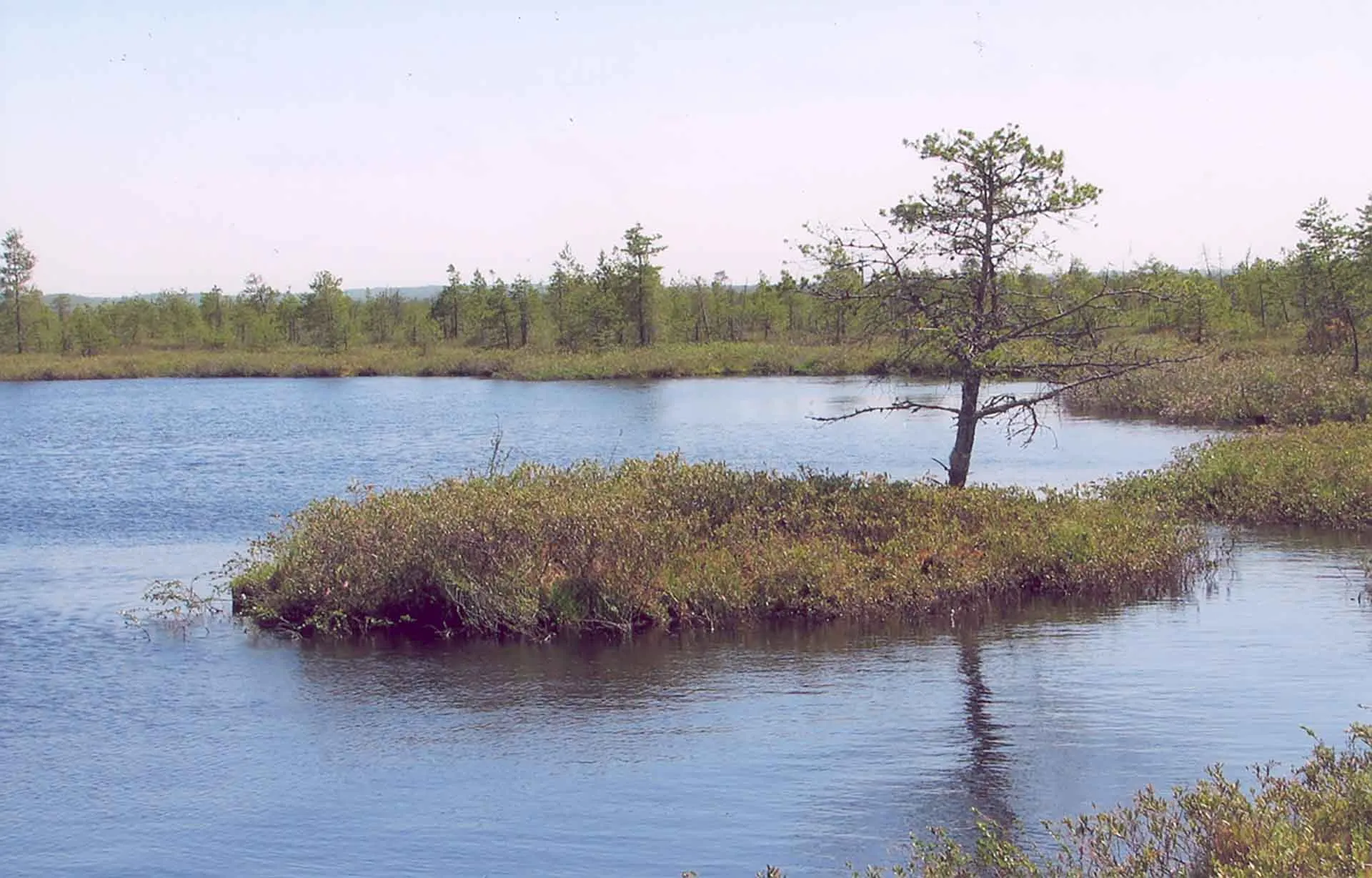 Управление массовых коммуникаций Кировской области