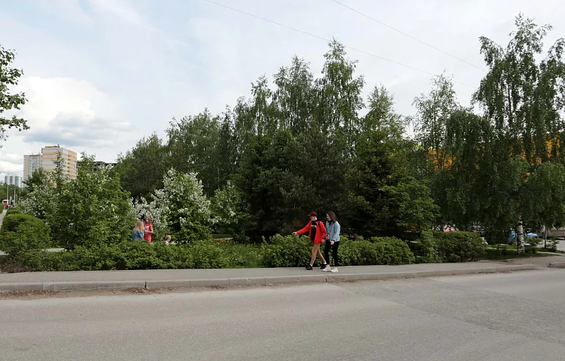 В&nbsp;Новокуйбышевске в&nbsp;Самарской области обновят сквер &laquo;Голубые ели&raquo;