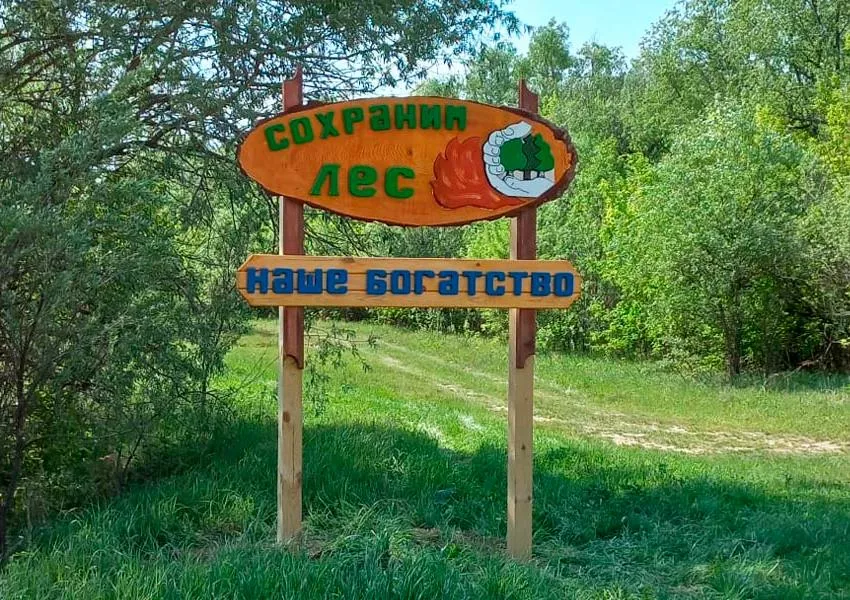 Главное управление лесного хозяйства Омской области