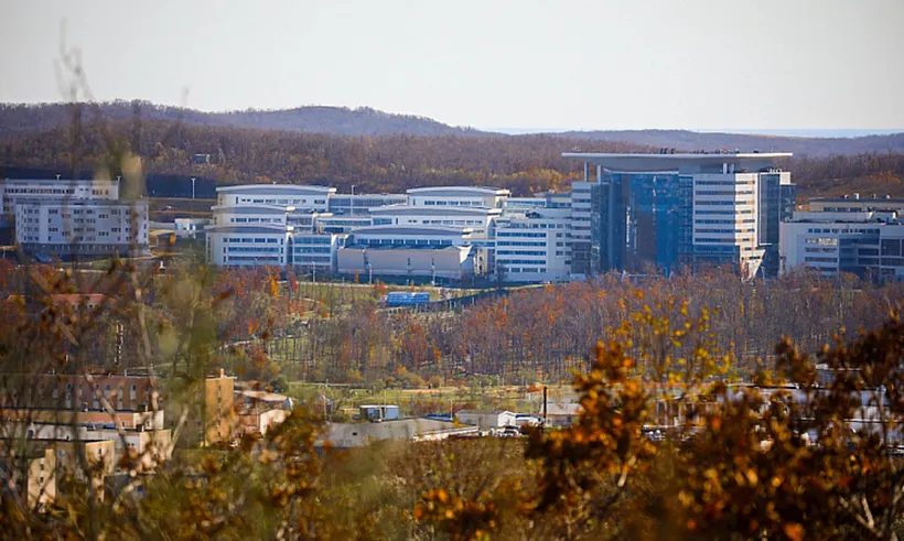 Студенческий проект из&nbsp;Приморья получил диплом на&nbsp;международном фестивале