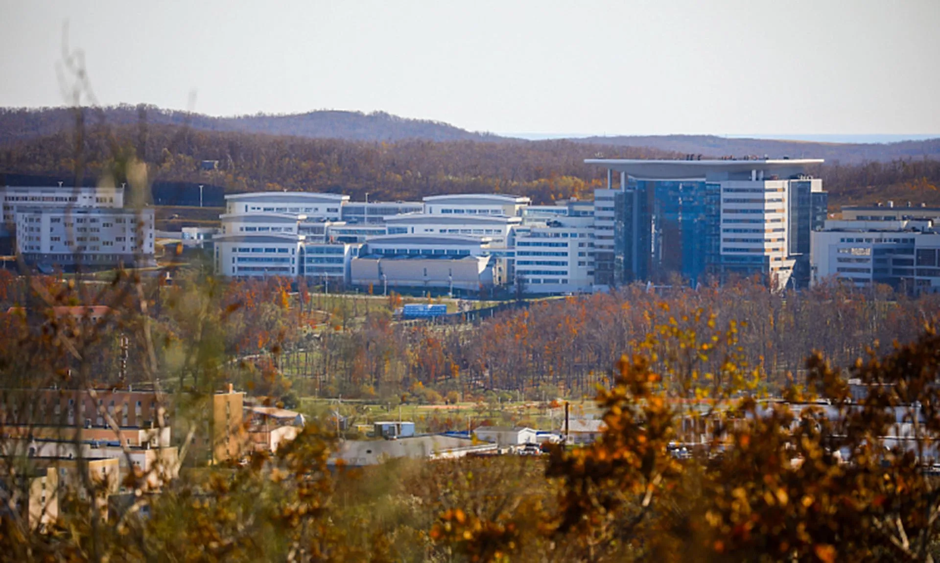  Агентство проектного управления Приморского края (РПО)