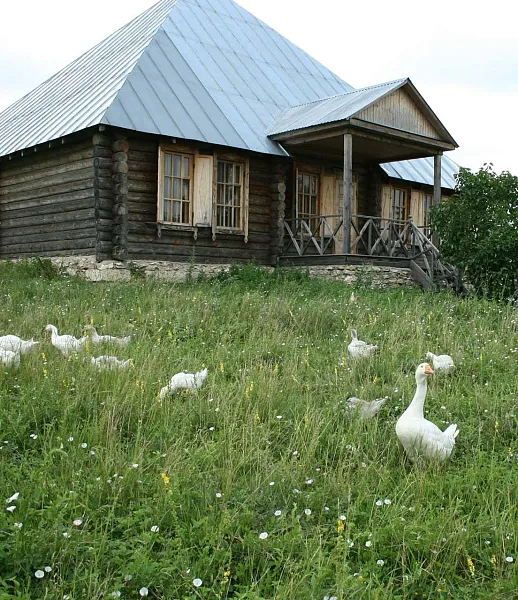 В&nbsp;Липецкой области усадьба Буниных займется развитием цифрового проекта