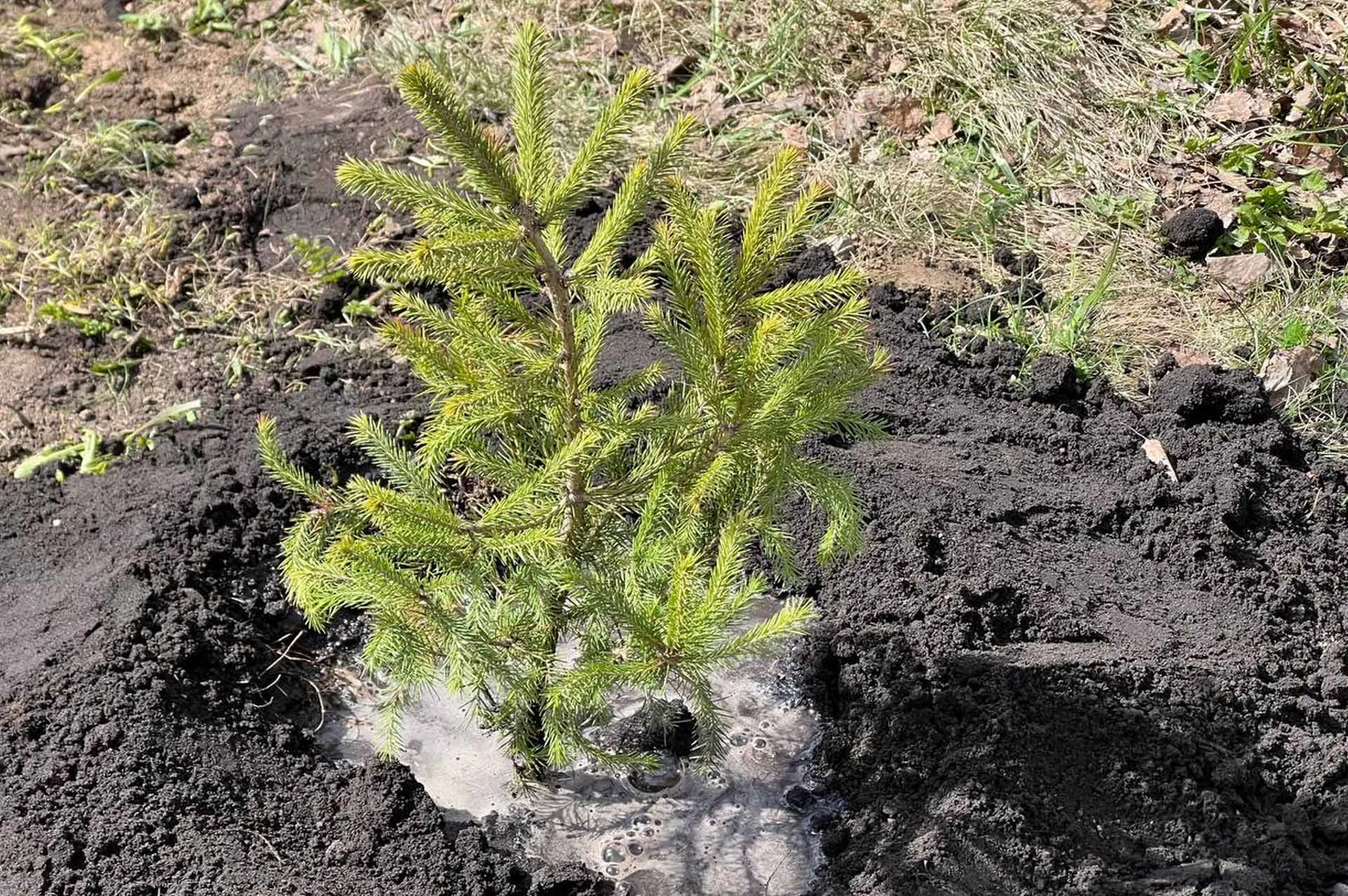 Администрация губернатора и правительства Новосибирской области