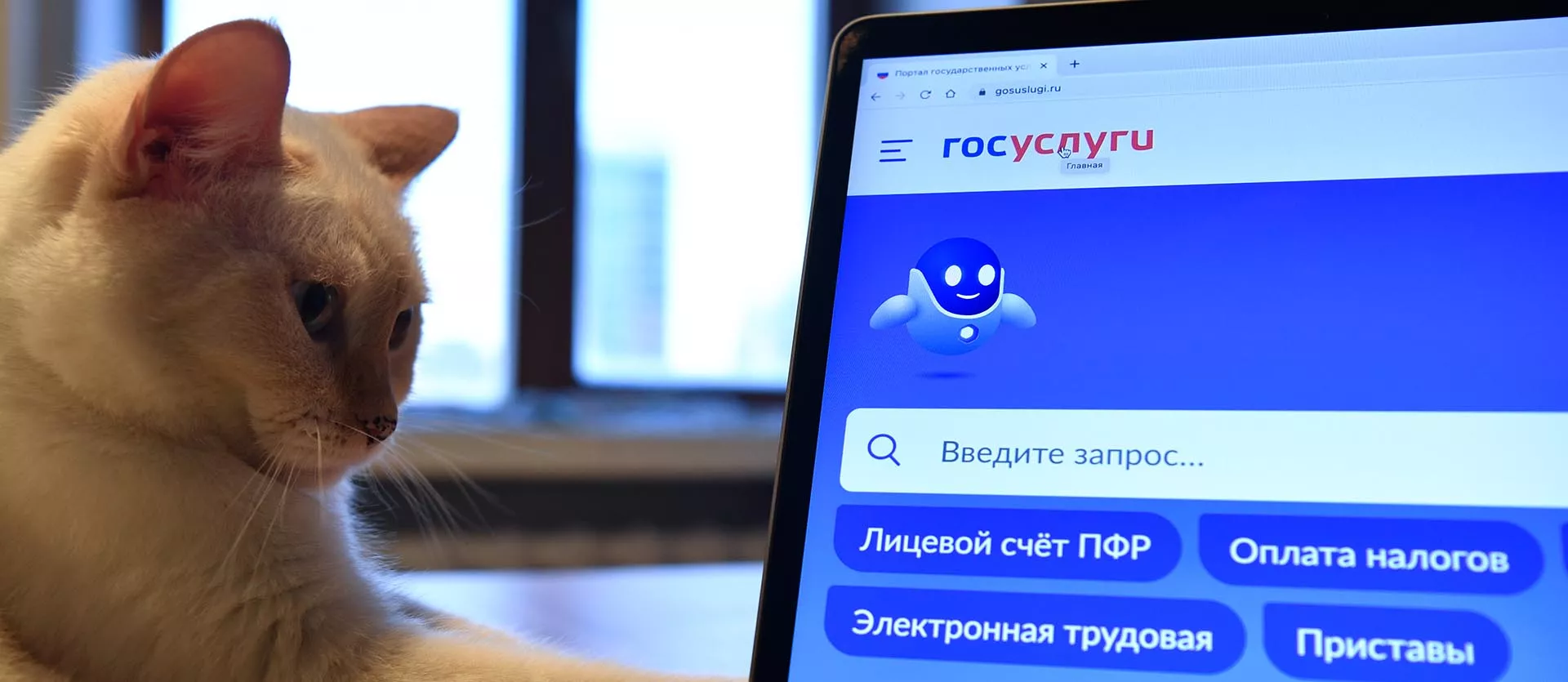 Александр Кряжев/РИА Новости