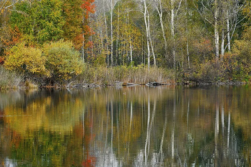 В&nbsp;Белгородской области завершили очистку участка реки Оскол