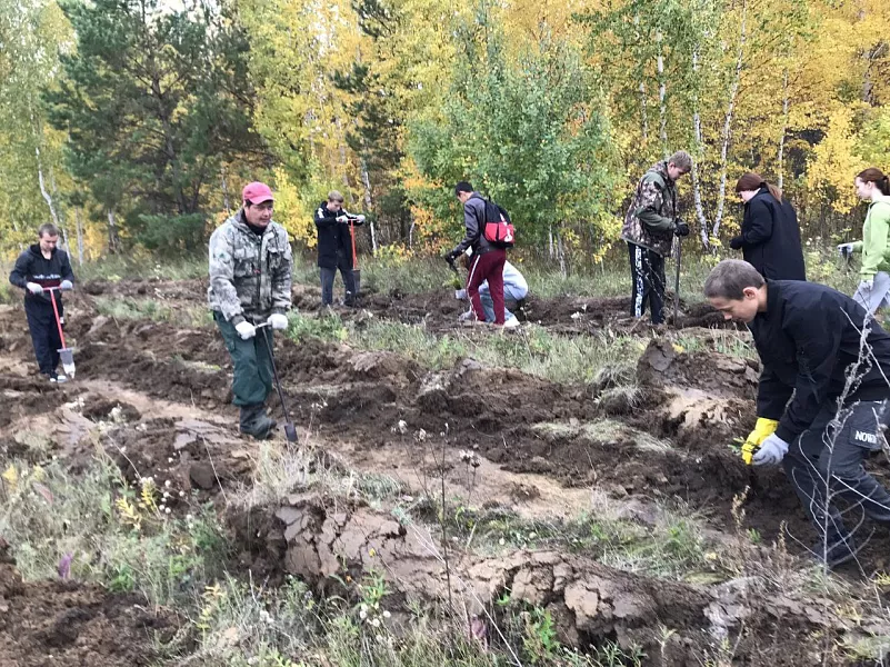 Тюменские школьники высадили почти 500&nbsp;деревьев