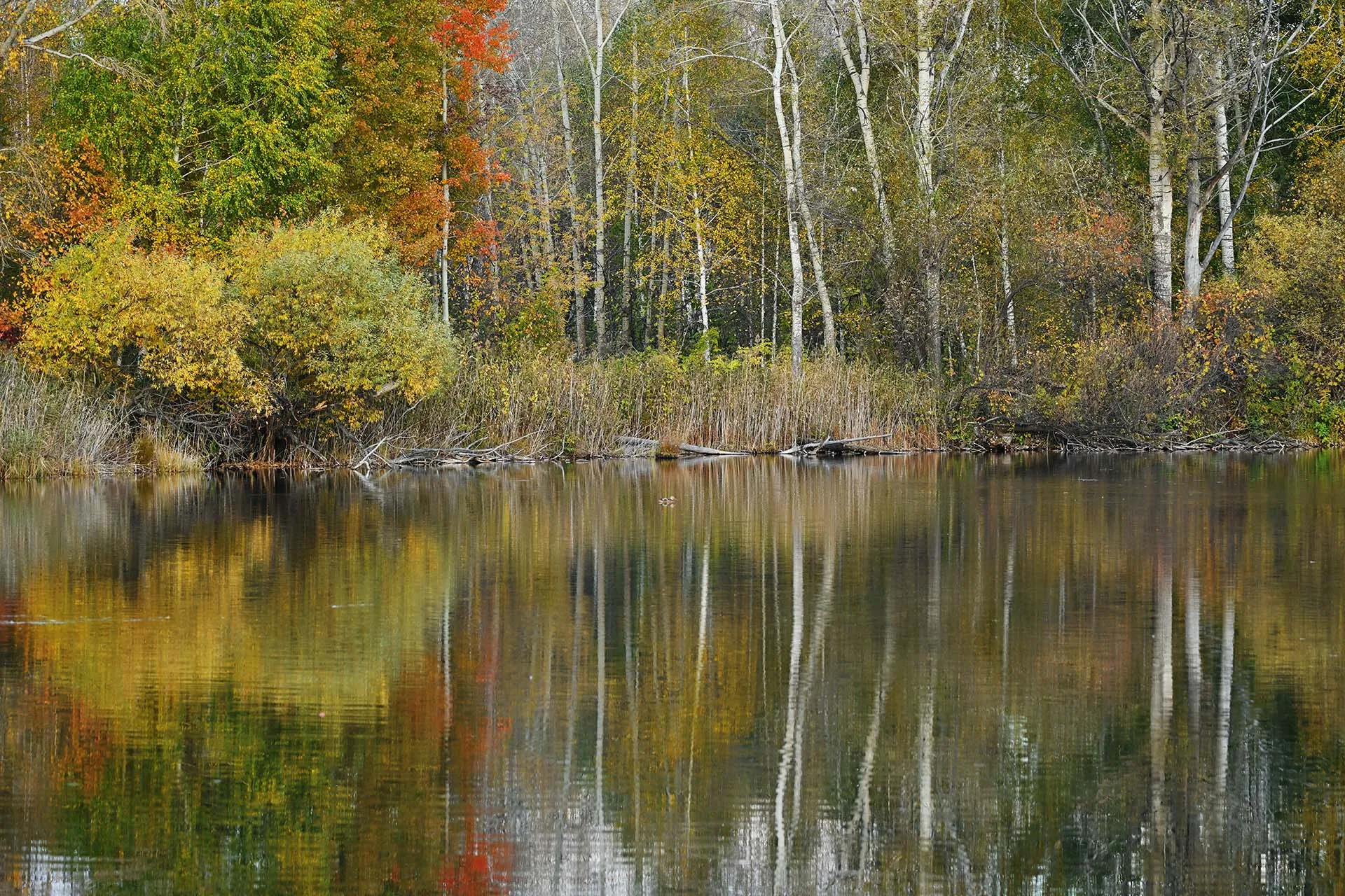Владимир Вяткин/РИА Новости