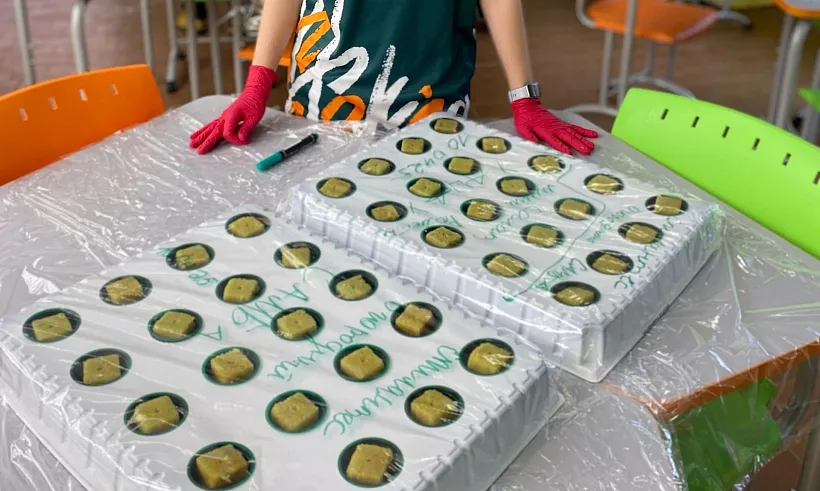 Школьники из&nbsp;деревни Большие Колпаны в&nbsp;Ленобласти провели посевные работы