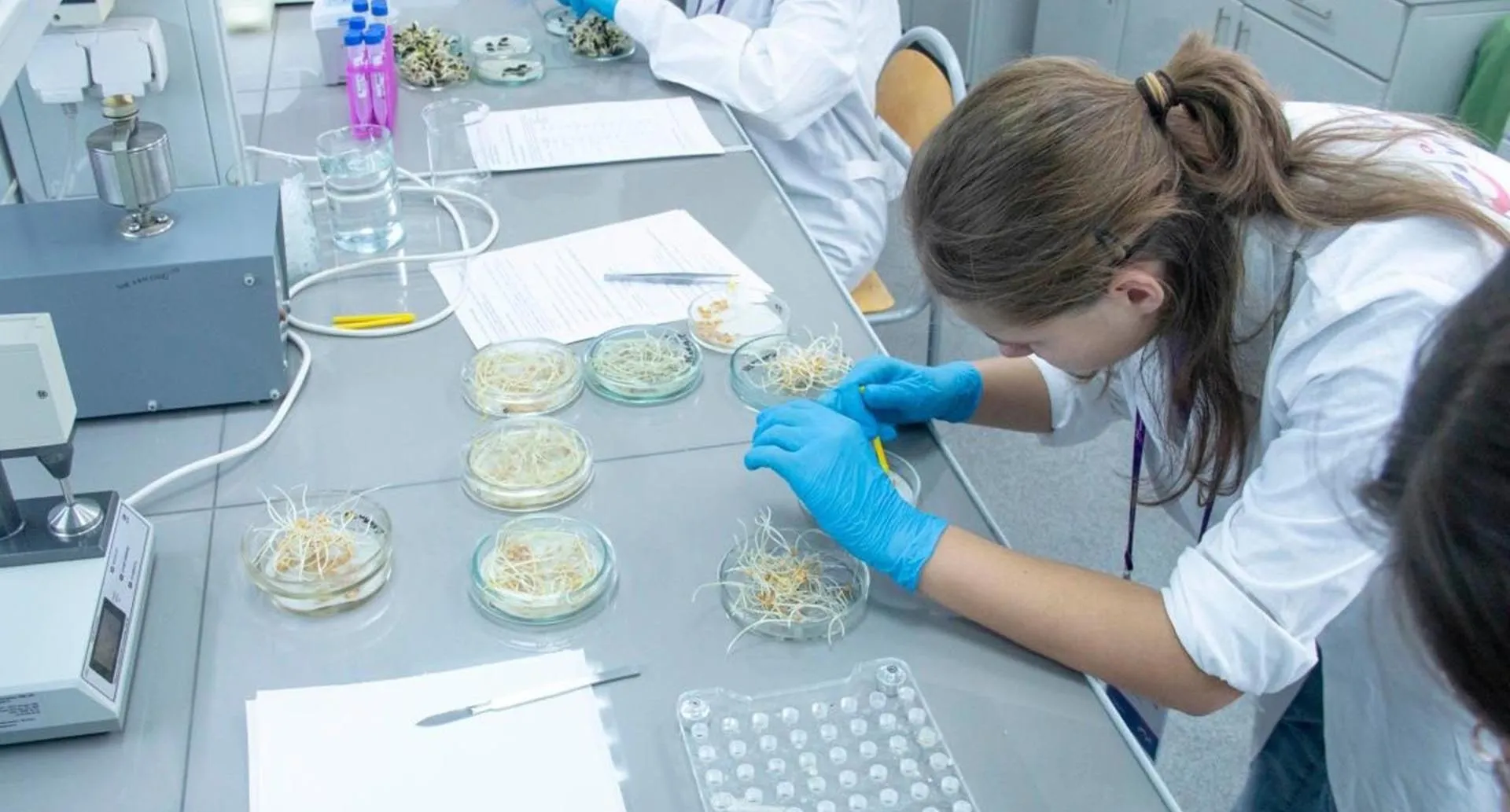 Министерство сельского хозяйства Саратовской области