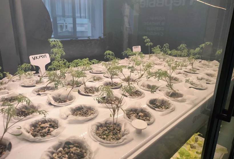 В&nbsp;Оренбуржье оснастили оборудованием пять агротехклассов