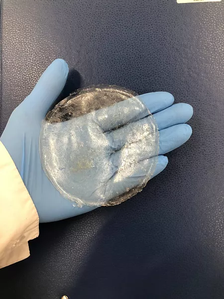 Старшеклассницы из&nbsp;Первоуральска создали биоразлагаемую пищевую пленку