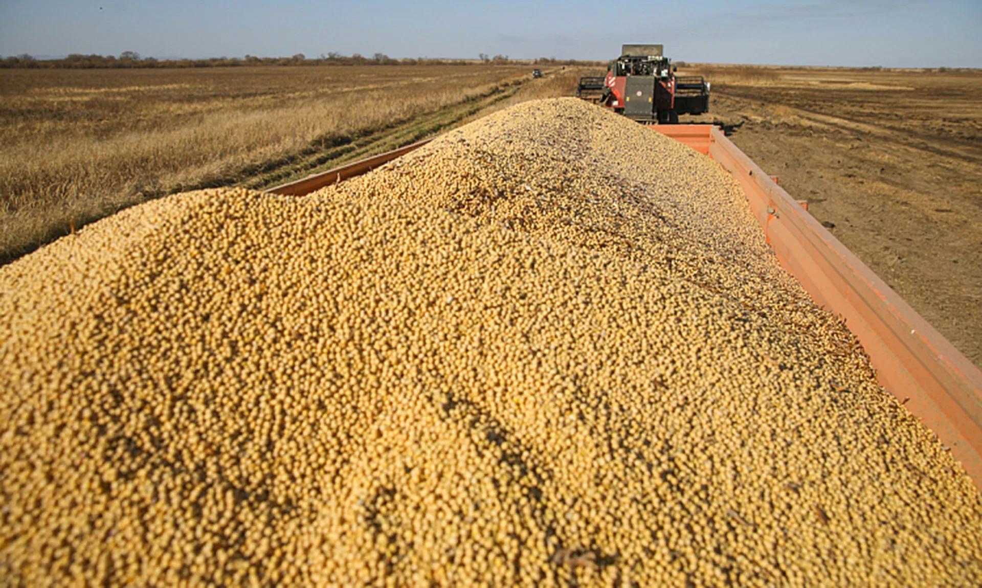 Агентство проектного управления Приморского края (РПО)