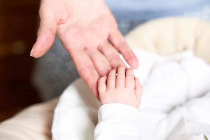 Не&nbsp;менее 2&nbsp;тысяч семей Чукотки получили поддержку в&nbsp;2025&nbsp;году