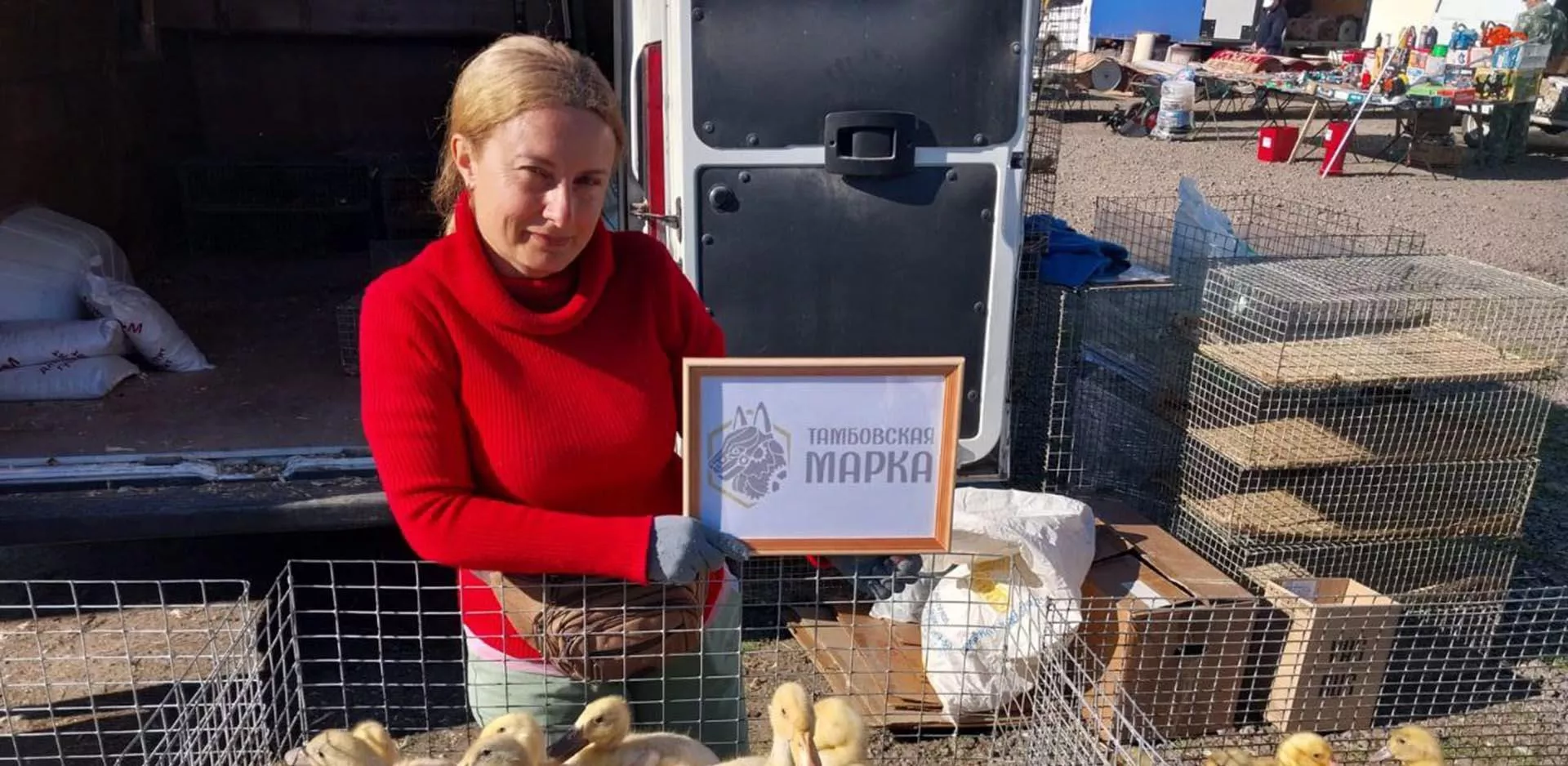 Администрация Токарёвского муниципального округа Тамбовской области