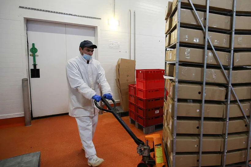 Воронежский экспортер мясной продукции вошел в&nbsp;топ-5&nbsp;рейтинга свиноводов