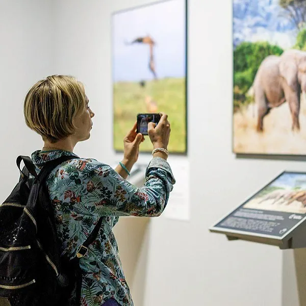 Москвичи выберут талисман фестиваля дикой природы &laquo;Золотая черепаха&raquo;