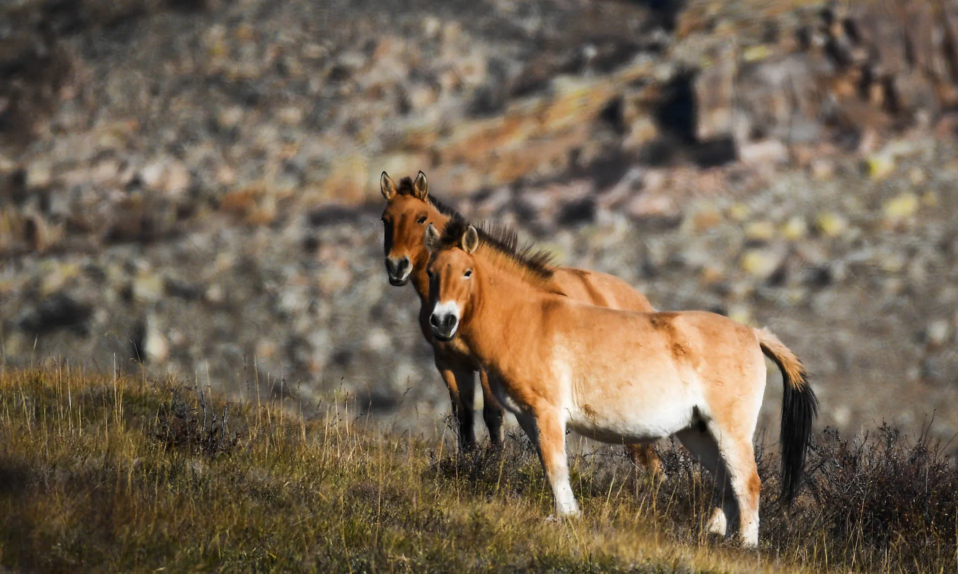 Владимир Астапкович/РИА Новости